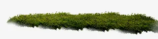 植物园林草地免抠
