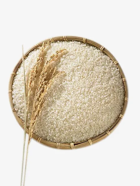 水稻大米小麦农产品免抠