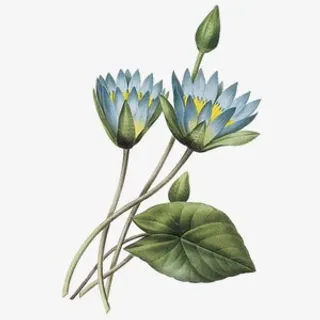 卡通古风素材卡通古风装饰图片免抠