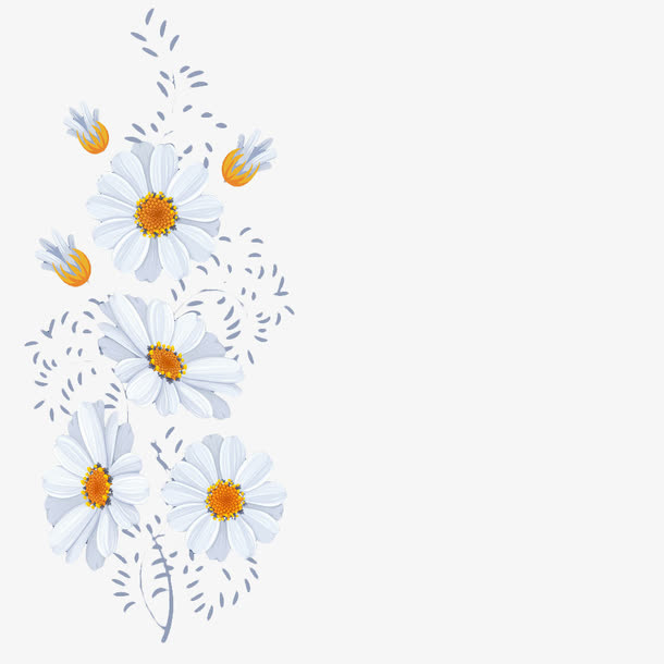 卡通菊花边框PNG素材免抠