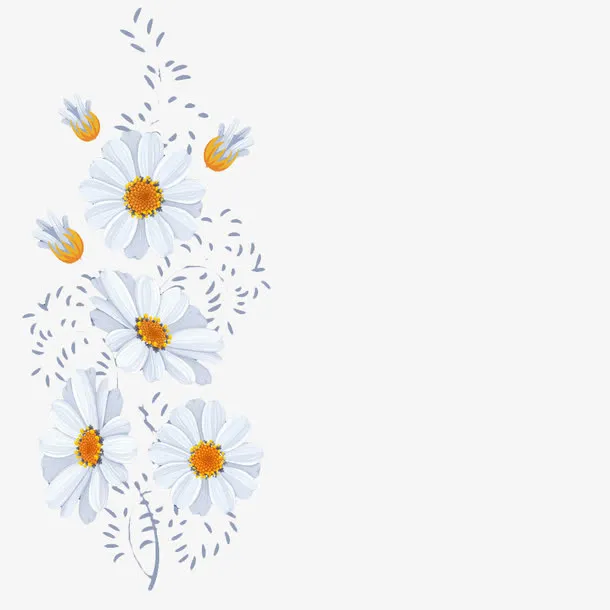 卡通菊花边框PNG素材免抠