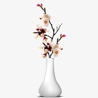 简约素雅花瓶免抠