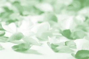 花瓣背景