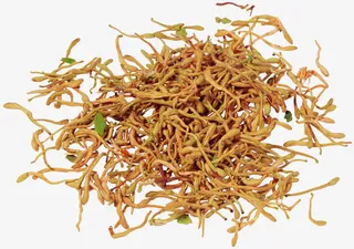 中药材金银花免抠