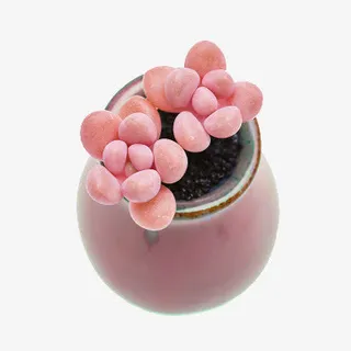 粉嫩粉嫩的桃蛋免抠