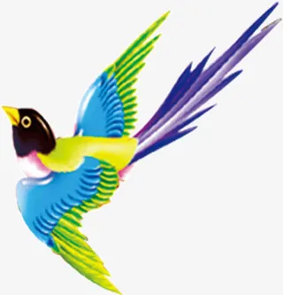 漂亮的喜鹊免抠