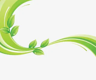 绿色小清新线条绿叶背景