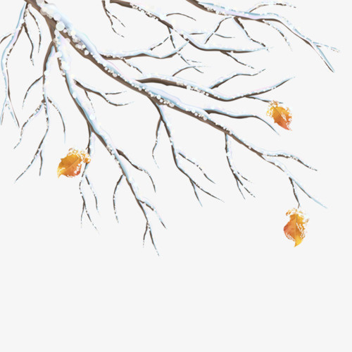 树枝，雪，手绘，圣诞免抠