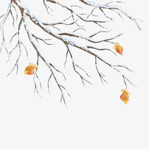 树枝，雪，手绘，圣诞免抠