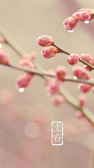 立春H5素材背景高清