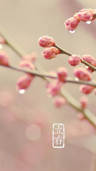 立春H5素材背景高清