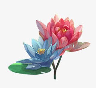 红色荷花装饰免抠