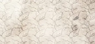 素雅树枝纹理背景高清