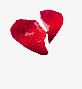 红色心形撕裂玫瑰花瓣免抠