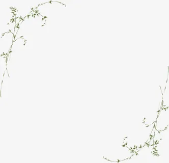 唯美树枝纹理边框免抠