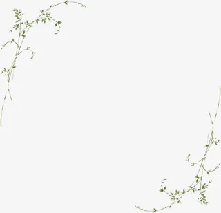 唯美树枝纹理边框免抠