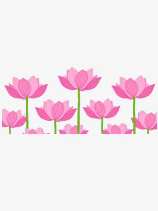 荷花卡通图免抠