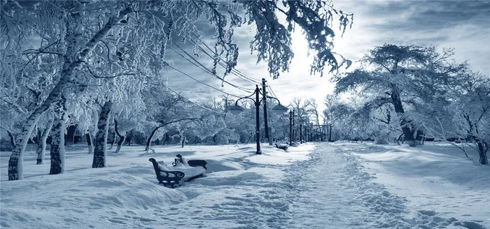 雪后的街道背景图高清