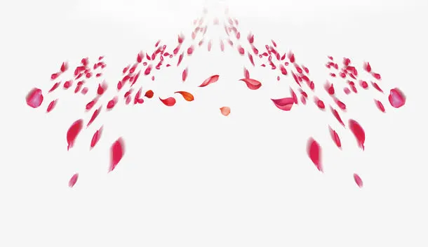 多彩花免抠