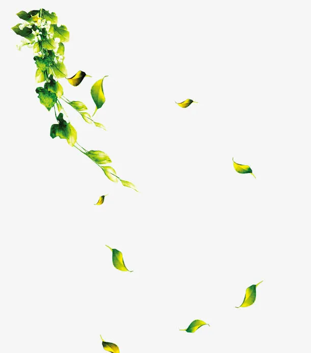 绿色蔓藤落叶免抠