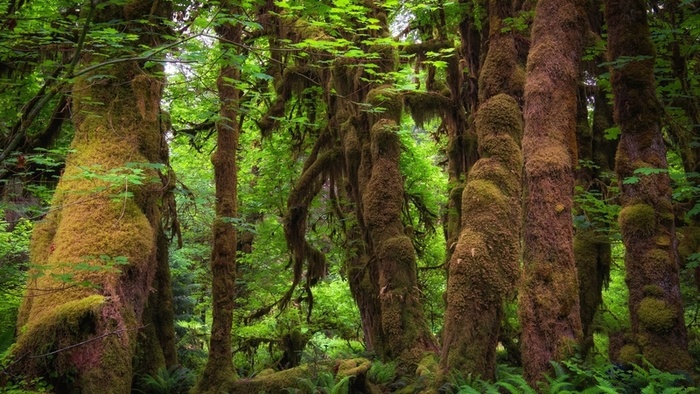 风景,背景,png,素材高清