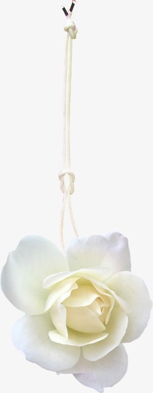 绳子吊起来的白色花朵植物免抠