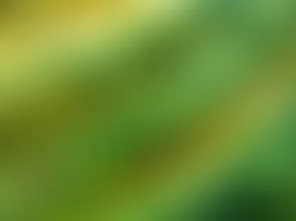 绿色光效背景图片 绿色光效背景图片