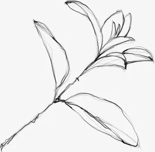 水墨花朵元素71免抠