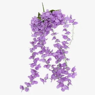 紫罗兰花朵免抠 紫罗兰花朵免抠