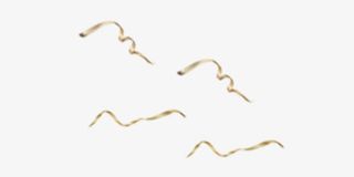 金色漂浮彩带浪漫免抠