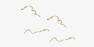 金色漂浮彩带浪漫免抠