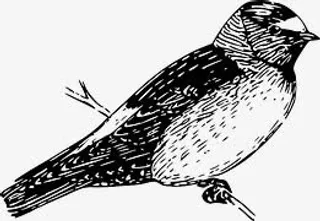 手绘树枝燕子免抠