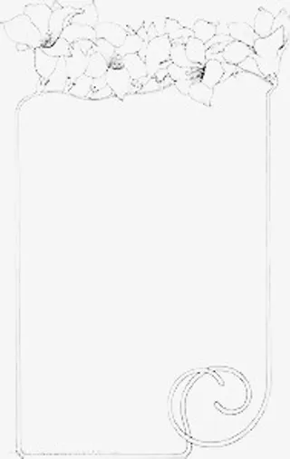 柔美的花边免抠