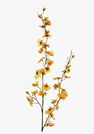 黄色树枝花朵装饰图案免抠