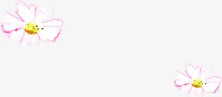 清新唯美春天花朵免抠