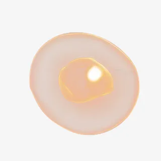 干细胞透明医学素材免费下载免抠标签元素