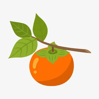 柿子大柿子免抠