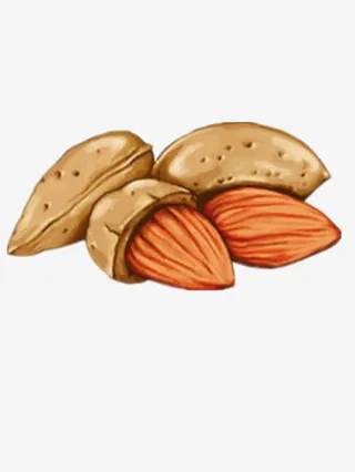 手绘巴旦木免抠