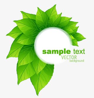 手绘绿色树叶清新圆形标签免抠