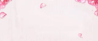 粉色花瓣背景高清