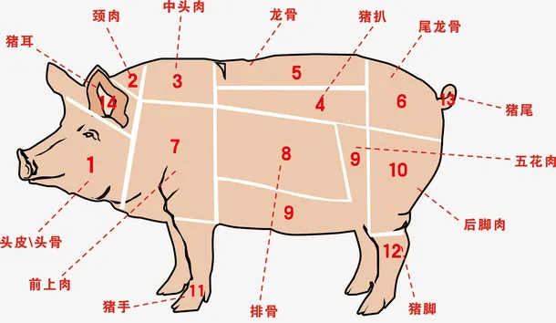 农业畜牧业农家土猪肉分割种类解免抠
