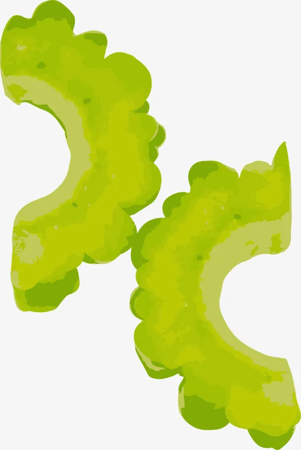 手绘苦瓜切片免抠