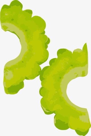 手绘苦瓜切片免抠