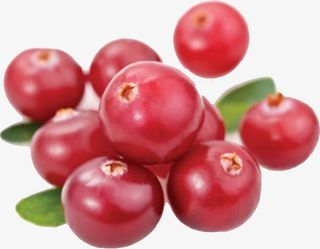 高清实物熊果苷免抠