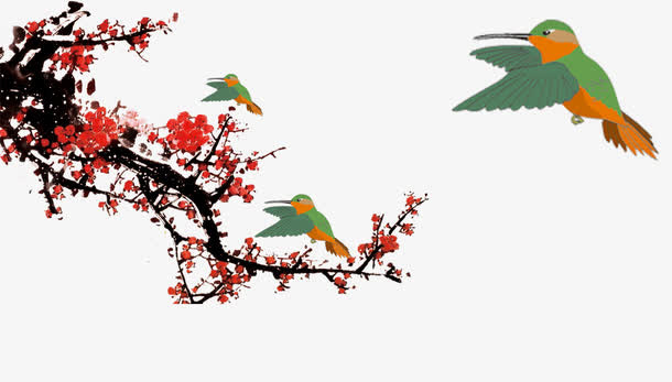 黄鹂梅花免抠