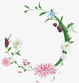 花1，春天，装饰，手绘免抠