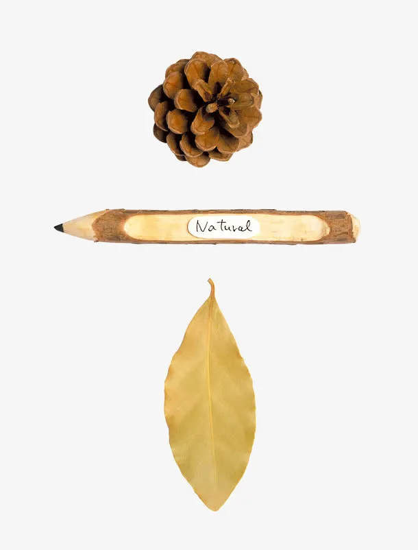 秋天的印迹免抠
