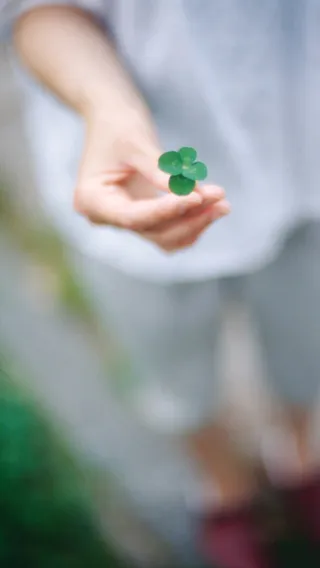 绿色小草晕光摄影免抠