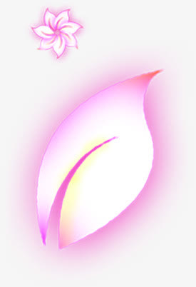 花朵花瓣高清投影免抠