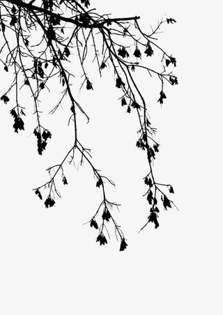 树枝 水墨画 中国画免抠